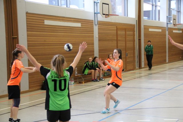 2017_01_08 Landesliga Frauen u. J19